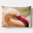 Search for pink flamingo accessories Bird