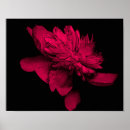 Search for fuschia art Abstract