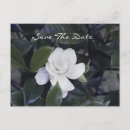 Search for macro flower invitations Flowers