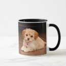 Search for maltipoo dog mugs Puppy