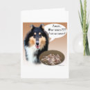 Search for collie cards Happy