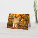 Search for fall seasonal cards Cat