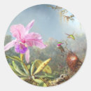 Search for hummingbird painting stickers Vintage