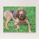 Search for hunting puzzles Puppy