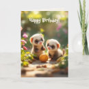Search for ferret birthday cards Weasel