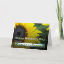 Search for grandma mothers day cards Grandmother