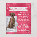 Search for dog walking flyers Cute