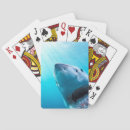 Search for jaws playing cards Wildlife