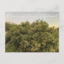 Search for bush postcards California