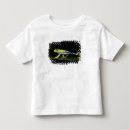 Search for red eyed tree frog tshirts Rain forest