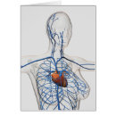 Search for jugular Jugular veins