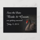 Search for swan save the dates White
