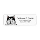 Search for alaskan malamute return address labels Pet
