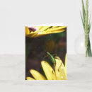Search for baby sayings cards Encouragement