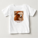 Search for alpaca baby clothes Animal