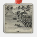 Search for agriculture christmas tree decorations Yolo