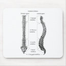 Search for vertebra mousepads Backbone