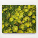 Search for carpet mousepads Floral