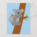 Search for bear illustration postcards Koala