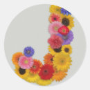 Search for versatile stickers Modern