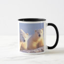 Search for tundra mugs Mammal