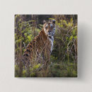 Search for tall badges Nature