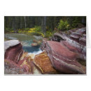 Search for creek fall Usa