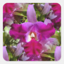 Search for fuchsia flower stickers Petals