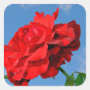 Search for beautiful rose stickers Colourful