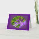 Search for venus cards Nature