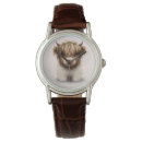 Search for highland cattle watches Scottish highland cow