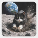 Search for tuxedo stickers Pet