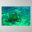 Search for 36 x 24 posters Green