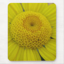 Search for chrysanthemums mousepads Floral