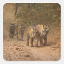 Search for royal tiger stickers Natural