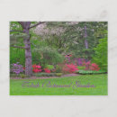 Search for spring garden postcards Park
