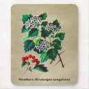 Search for mongolia mousepads China