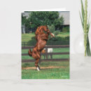 Search for stallions cards Rearing