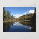 Search for algonquin Nature