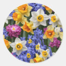 Search for easter holiday stickers Cute