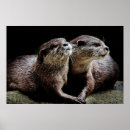 Search for holding hands posters Nature