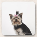 Search for office humour coasters Animal