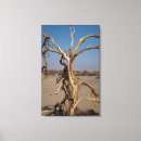 Search for dead canvas prints Nature