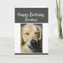 Search for a brother dog birthday birthday cards For him