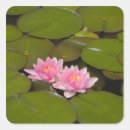 Search for water stickers Colour