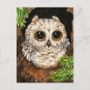 Search for little owl postcards Illustration