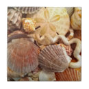 Search for sand dollar tiles Shells