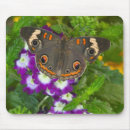 Search for swallowtail mousepads Yellow