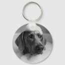 Search for weimaraner key rings Puppy