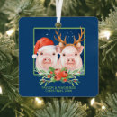 Search for pigs christmas tree decorations Santa